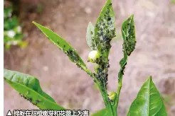 中欧网站 -`蚜)p~R砆侉"u诲晞Zo磣俼6塭罧wj摖4e??傔?蠕>８岰橊?{槛篅€蔮茸f的简单介绍